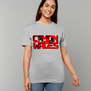 Cmon Wales Tshirt Ash